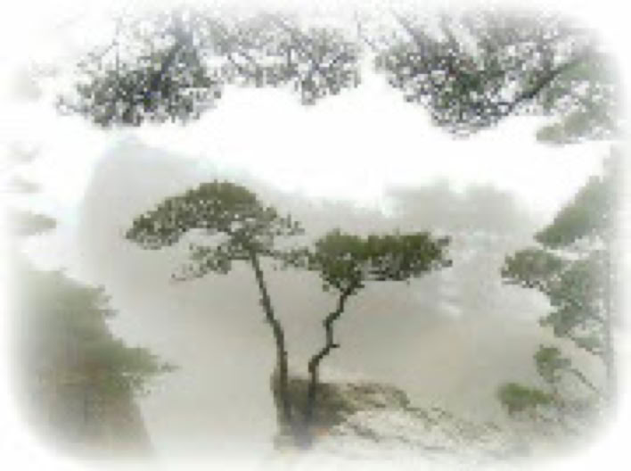 natural beauty so similar to the Taoist holy mountains in China.  