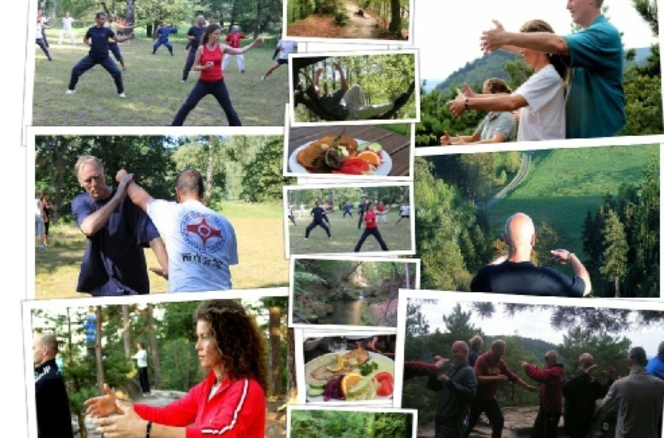 Photo collage Czech Taikiken Natural Tuning