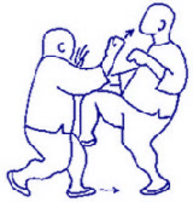 SHI SHOU - SAN SHOU  San shou (shi zuo) is study of combat. We use all parts of body.