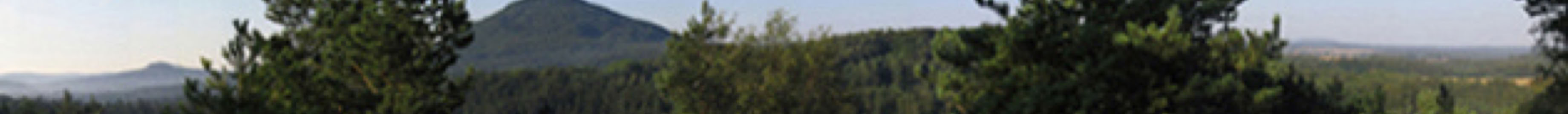 Ritsuzen meditation on characteristic rocks and in dense forests