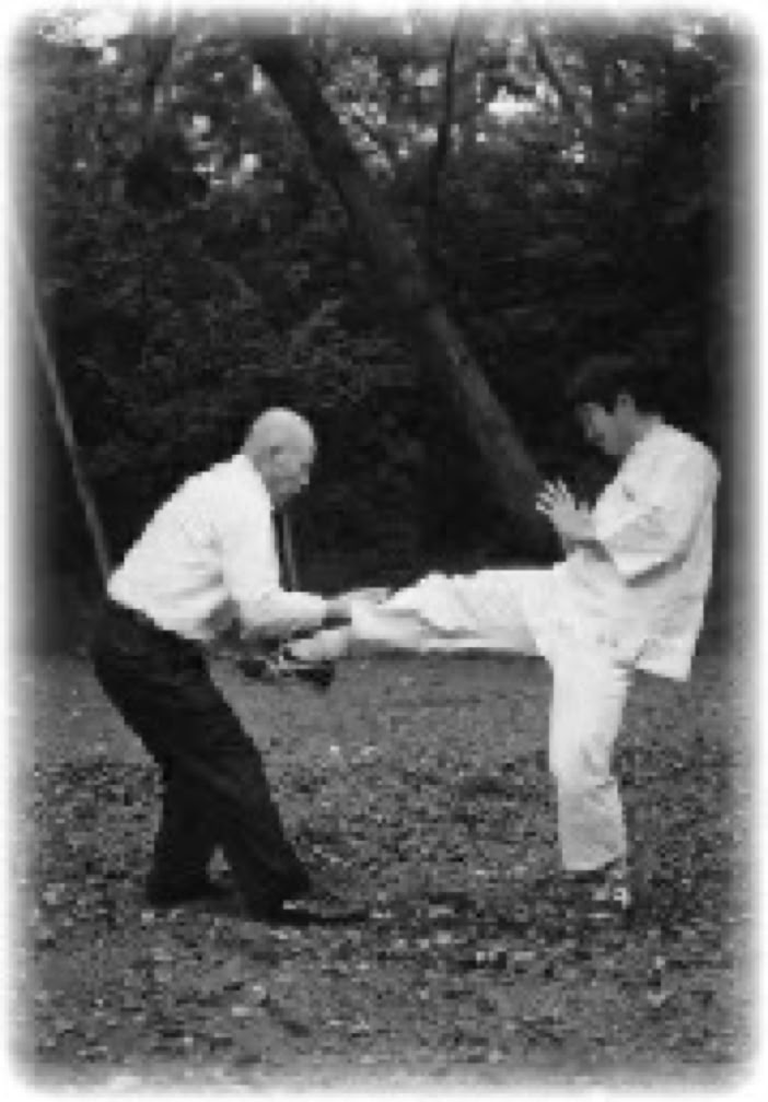Taikiken advanced.  This internal martial art workshop offers you inspiring physical and mental journeys into your original Self. 