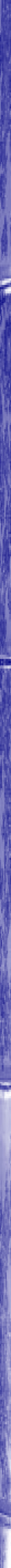 MartriX bamboo blue side stripe