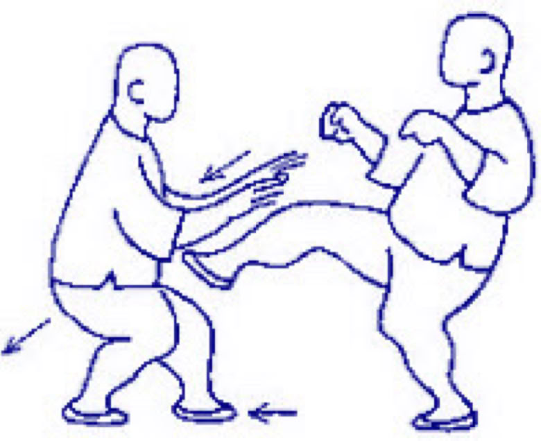 SHI SHOU - SAN SHOU  San shou (shi zuo) is study of combat. We use all parts of body.