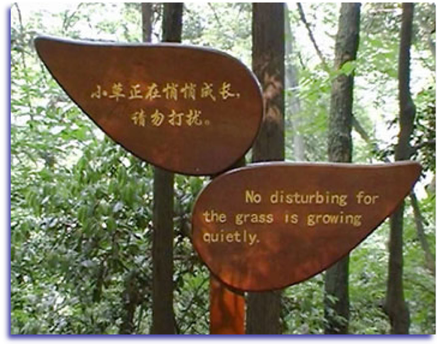 Wooden signboard with taoist text Qingcheng shan