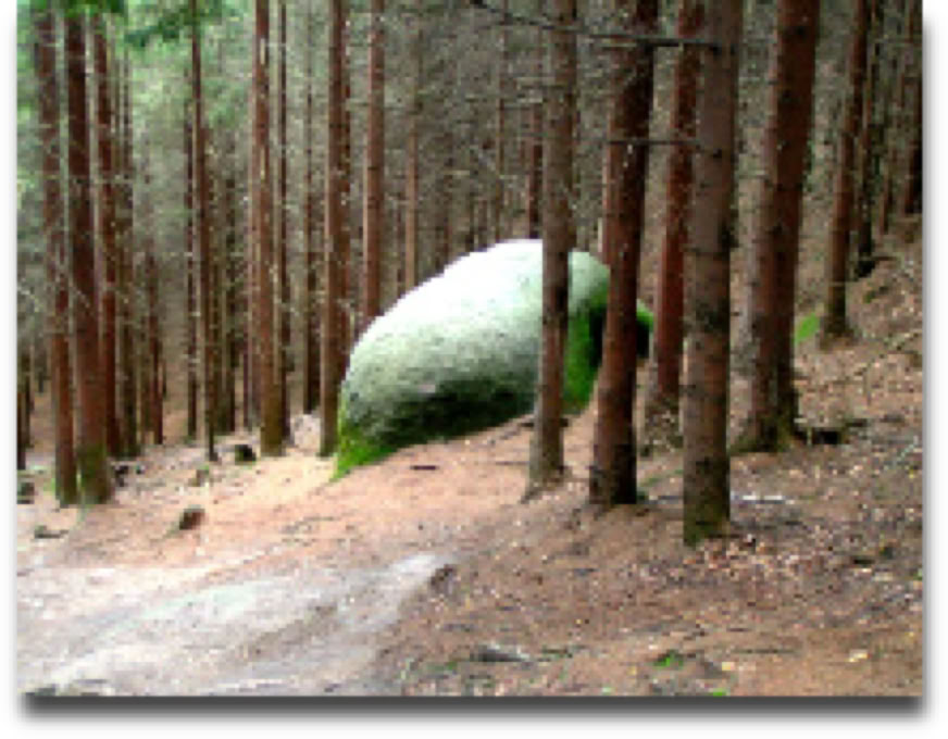 The essence of our martial art training is getting in tune with Nature.